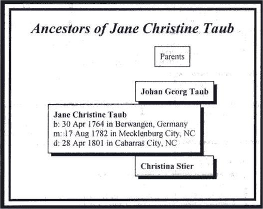 Jane Taub Tree